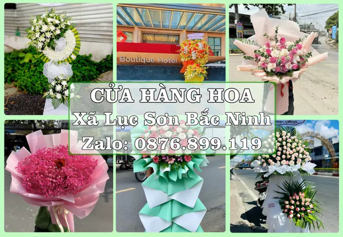 Shop hoa tươi tại Xã Lục Sơn Bắc Ninh – Hoa xinh, trái cây cho những dịp gần gũi · ảnh 1