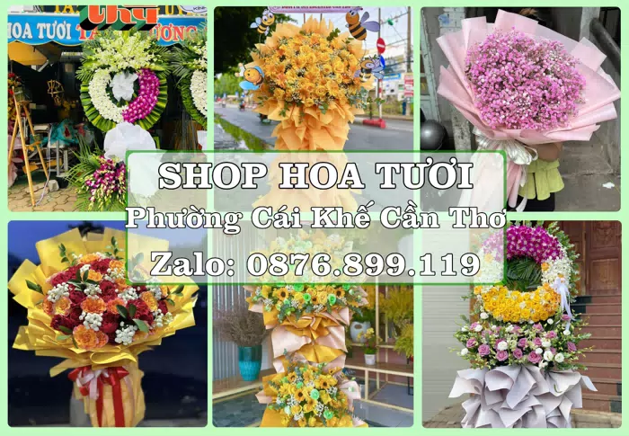 Shop hoa tươi tại Phường Cái Khế Cần Thơ – Tư vấn hoa và trái cây theo ngân sách · ảnh 1