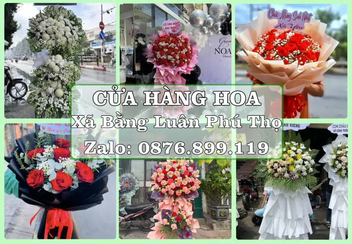 Shop hoa tươi tại Xã Bằng Luân Phú Thọ – Hoa tươi và trái cây, dễ chọn theo từng dịp · ảnh 1