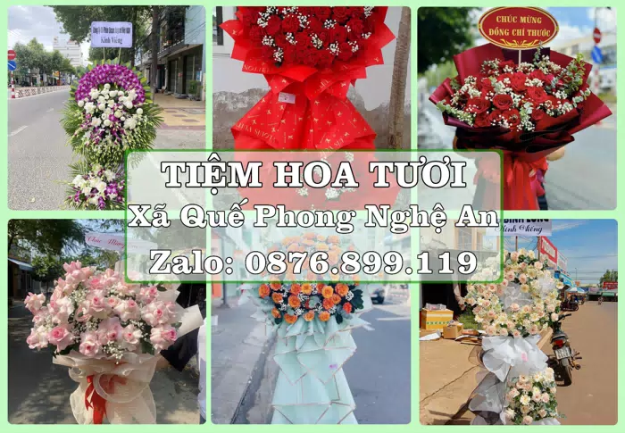 Shop hoa tươi tại Xã Quế Phong Nghệ An – Hoa xinh, trái cây cho những dịp gần gũi · ảnh 1
