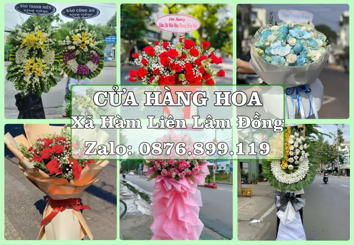 Shop hoa tươi tại Xã Hàm Liên Lâm Đồng – Gửi lời quan tâm bằng hoa và trái cây · ảnh 1
