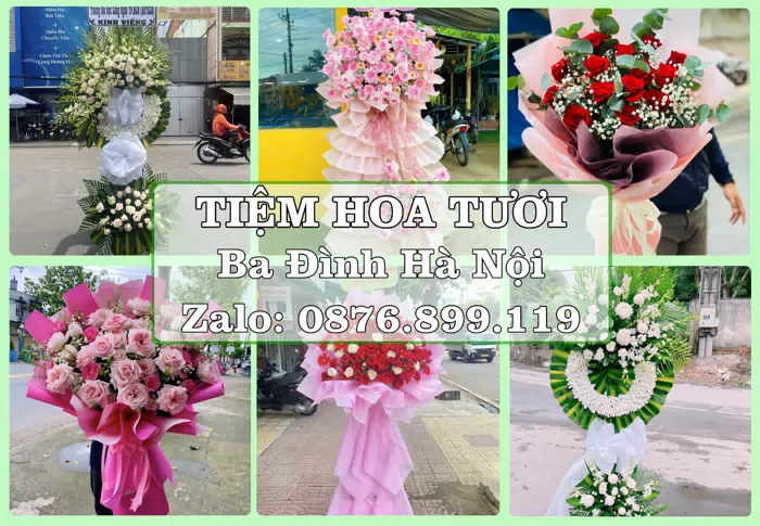 Shop hoa tươi tại Ba Đình Hà Nội – Hoa tươi và trái cây, dễ chọn theo từng dịp · ảnh 1