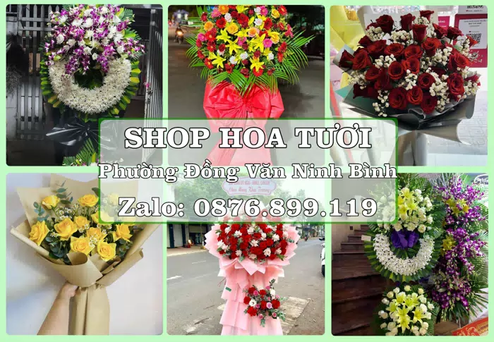 Shop hoa tươi tại Phường Đồng Văn Ninh Bình – Đặt quà gửi người thân từ xa · ảnh 1