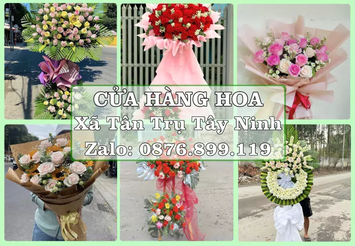 Shop hoa tươi tại Xã Tân Trụ Tây Ninh – Chọn hoa, chọn giỏ quà thật chu đáo · ảnh 1
