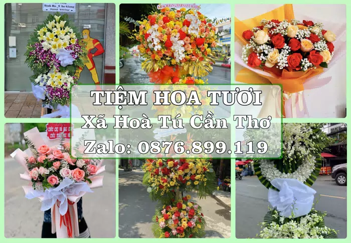 Shop hoa tươi tại Xã Hoà Tú Cần Thơ – Tư vấn hoa và trái cây theo ngân sách · ảnh 1