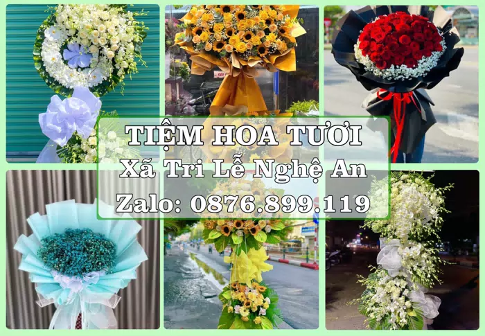 Shop hoa tươi tại Xã Tri Lễ Nghệ An – Tìm món quà hợp dịp, hợp người nhận · ảnh 1