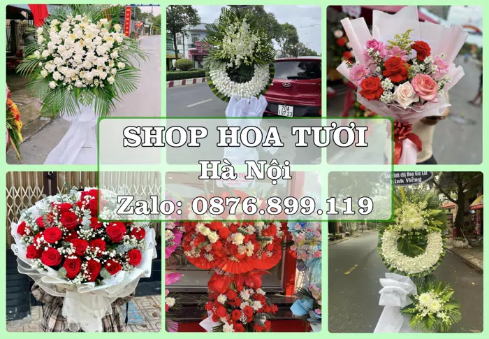 Shop hoa tươi tại Hà Nội – Chọn hoa, chọn giỏ quà thật chu đáo · ảnh 1