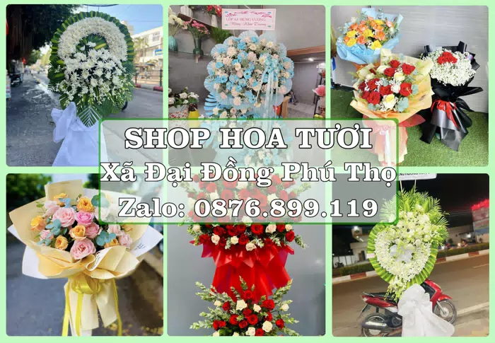 Shop hoa tươi tại Xã Đại Đồng Phú Thọ – Từ bó hoa tặng đến giỏ trái cây biếu · ảnh 1