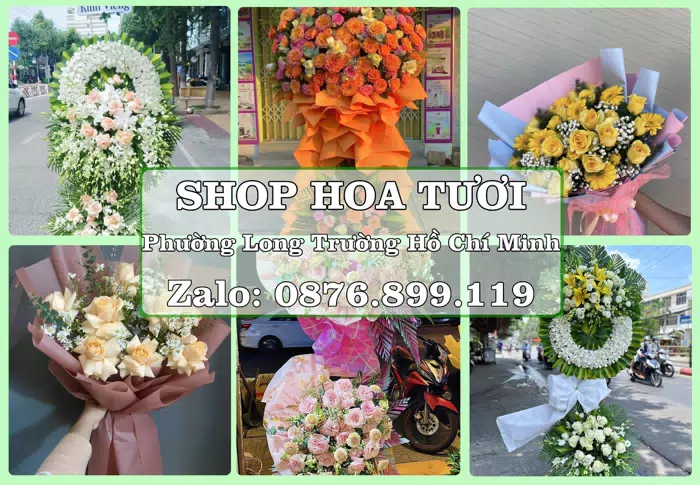Shop hoa tươi tại Phường Long Trường Hồ Chí Minh – Tư vấn hoa và trái cây theo ngân sách · ảnh 1