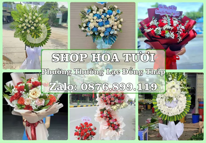 Shop hoa tươi tại Phường Thường Lạc Đồng Tháp – Chọn hoa, chọn giỏ quà thật chu đáo · ảnh 1