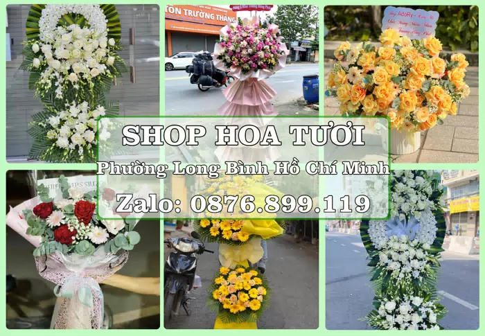 Shop hoa tươi tại Phường Long Bình Hồ Chí Minh – Hoa chúc mừng, quà biếu theo nhu cầu · ảnh 1