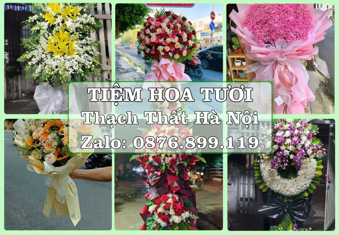 Shop hoa tươi tại Thạch Thất Hà Nội – Tư vấn hoa và trái cây theo ngân sách · ảnh 1
