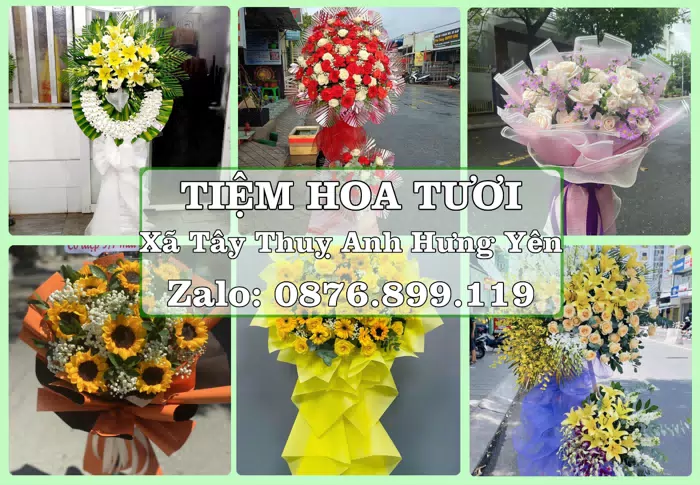 Shop hoa tươi tại Xã Tây Thuỵ Anh Hưng Yên – Hoa tươi và trái cây, dễ chọn theo từng dịp · ảnh 1