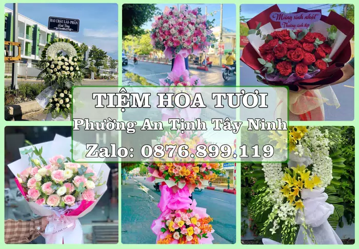Shop hoa tươi tại Phường An Tịnh Tây Ninh – Hoa tươi và trái cây, dễ chọn theo từng dịp · ảnh 1