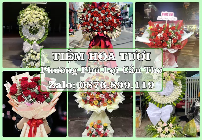 Shop hoa tươi tại Phường Phú Lợi Cần Thơ – Hoa chúc mừng, quà biếu theo nhu cầu · ảnh 1