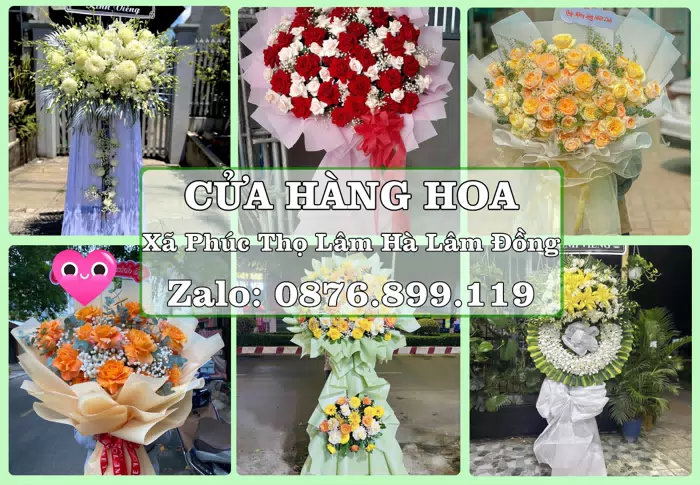 Shop hoa tươi tại Xã Phúc Thọ Lâm Hà Lâm Đồng – Gửi lời quan tâm bằng hoa và trái cây · ảnh 1