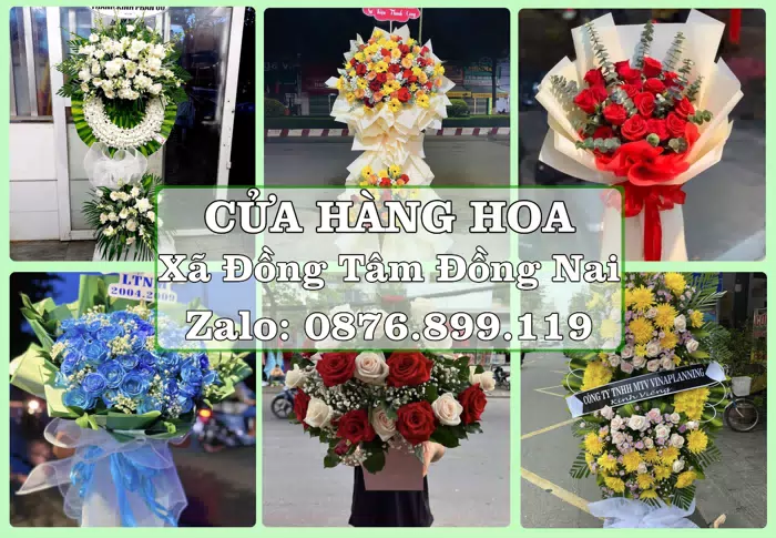 Shop hoa tươi tại Xã Đồng Tâm Đồng Nai – Hoa tươi và trái cây, dễ chọn theo từng dịp · ảnh 1