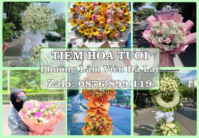 Shop hoa tươi tại Phường Lâm Viên Đà Lạt – Từ bó hoa tặng đến giỏ trái cây biếu · ảnh 1