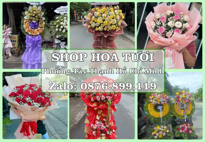 Shop hoa tươi tại Phường Tây Thạnh Hồ Chí Minh – Hoa chúc mừng, quà biếu theo nhu cầu · ảnh 1