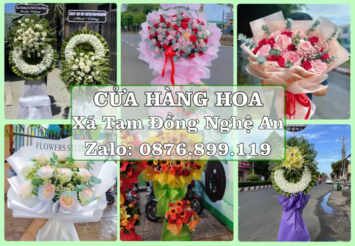 Shop hoa tươi tại Xã Tam Đồng Nghệ An – Hoa tươi và trái cây, dễ chọn theo từng dịp · ảnh 1