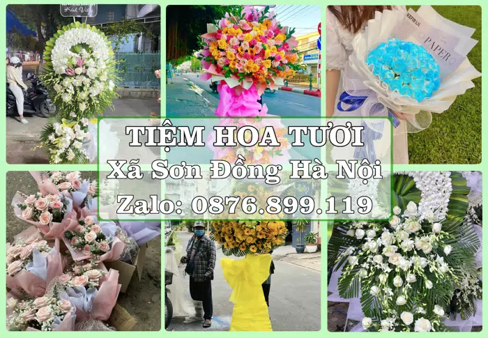 Shop hoa tươi tại Xã Sơn Đồng Hà Nội – Hoa chúc mừng, quà biếu theo nhu cầu · ảnh 1