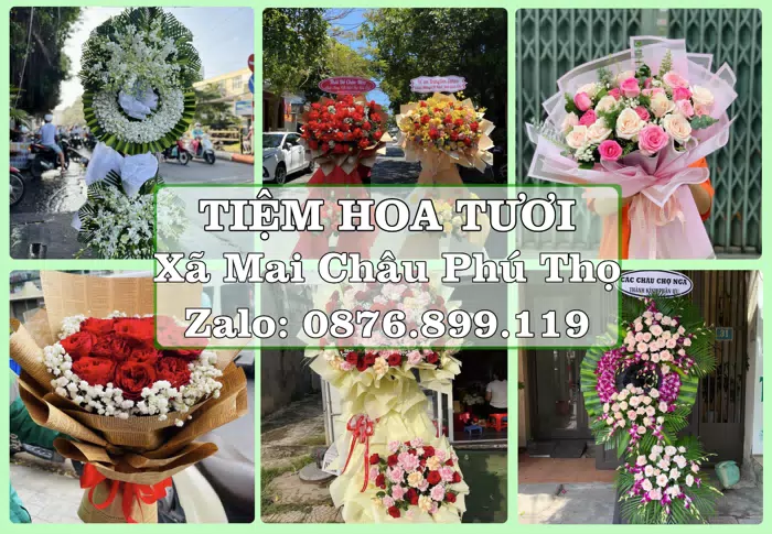 Shop hoa tươi tại Xã Mai Châu Phú Thọ – Tìm món quà hợp dịp, hợp người nhận · ảnh 1