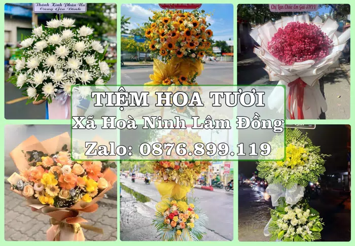 Shop hoa tươi tại Xã Hoà Ninh Lâm Đồng – Từ bó hoa tặng đến giỏ trái cây biếu · ảnh 1