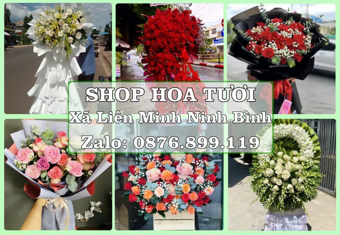 Shop hoa tươi tại Xã Liên Minh Ninh Bình – Hoa chúc mừng, quà biếu theo nhu cầu · ảnh 1