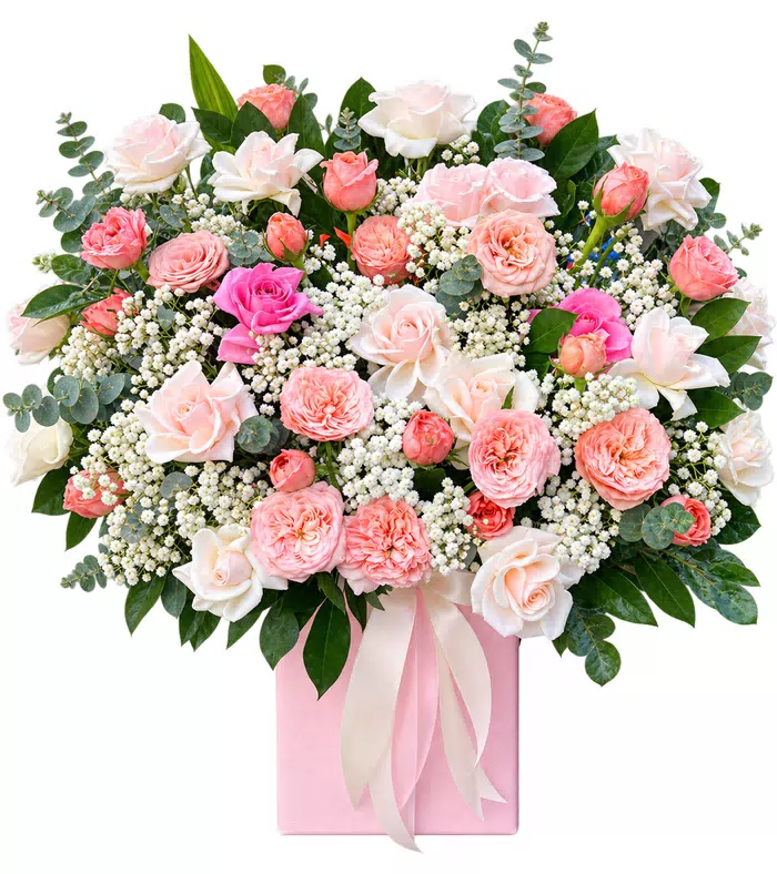 Thương Gửi – hộp hoa hồng phấn cùng hoa trắng