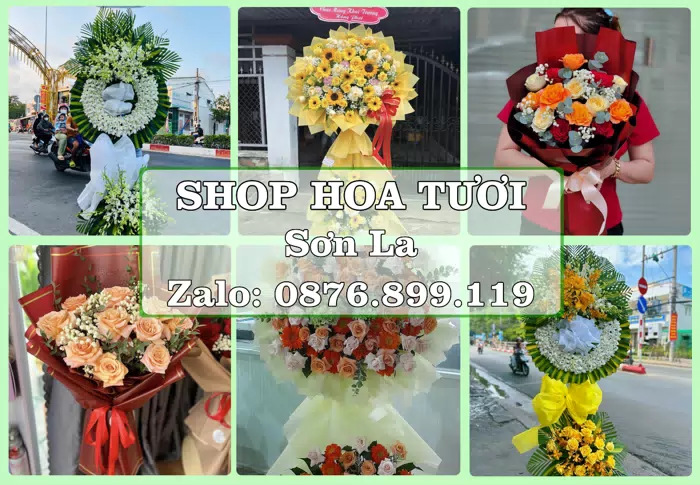 Shop hoa tươi tại Sơn La – Hoa xinh, trái cây cho những dịp gần gũi · ảnh 1