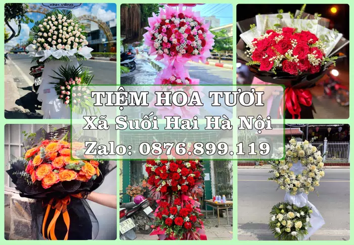 Shop hoa tươi tại Xã Suối Hai Hà Nội – Chọn hoa, chọn giỏ quà thật chu đáo · ảnh 1