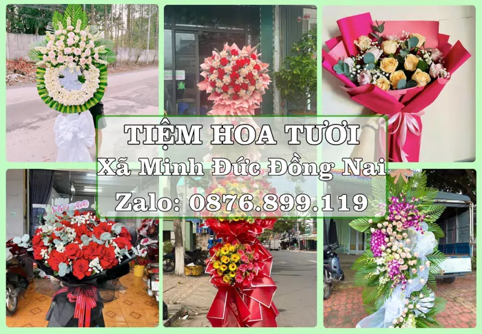 Shop hoa tươi tại Xã Minh Đức Đồng Nai – Món quà chỉn chu từ những điều nhỏ · ảnh 1