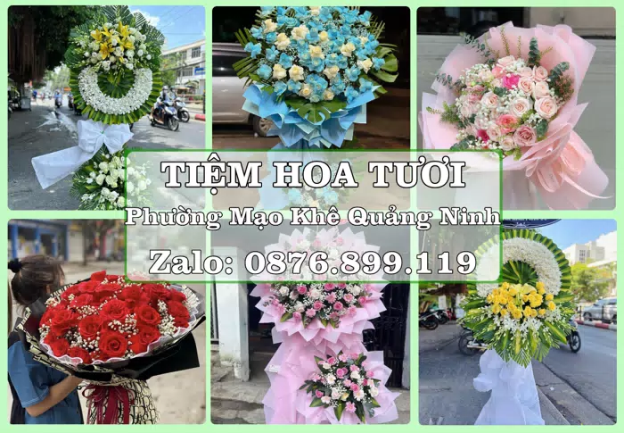 Shop hoa tươi tại Phường Mạo Khê Quảng Ninh – Tìm món quà hợp dịp, hợp người nhận · ảnh 1