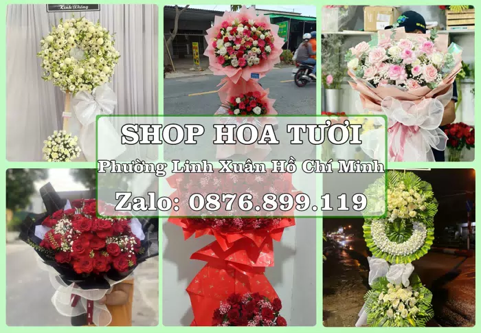 Shop hoa tươi tại Phường Linh Xuân Hồ Chí Minh – Hoa tươi và trái cây, dễ chọn theo từng dịp · ảnh 1