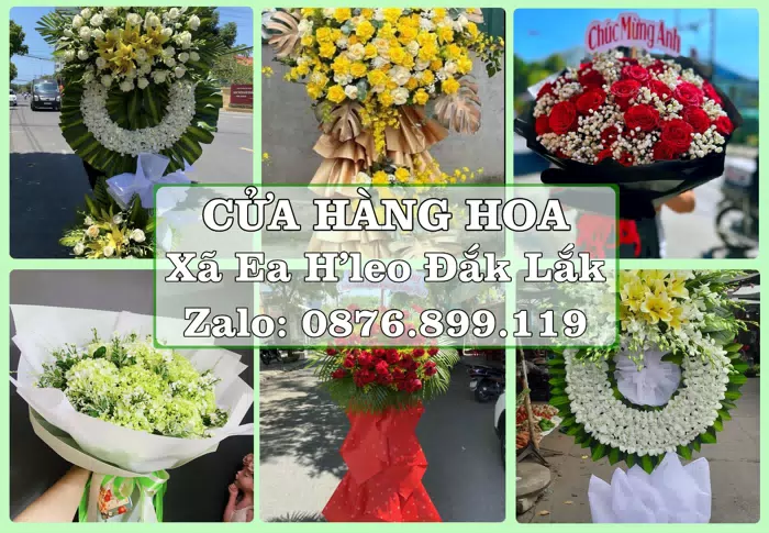 Shop hoa tươi tại Xã Ea H’leo Đắk Lắk – Hoa tươi và trái cây, dễ chọn theo từng dịp · ảnh 1