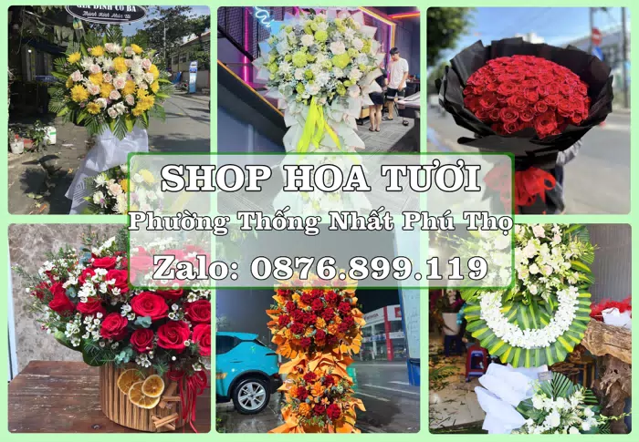Shop hoa tươi tại Phường Thống Nhất Phú Thọ – Tư vấn hoa và trái cây theo ngân sách · ảnh 1