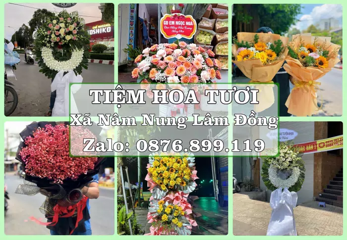 Shop hoa tươi tại Xã Nâm Nung Lâm Đồng – Hoa tươi và trái cây, dễ chọn theo từng dịp · ảnh 1