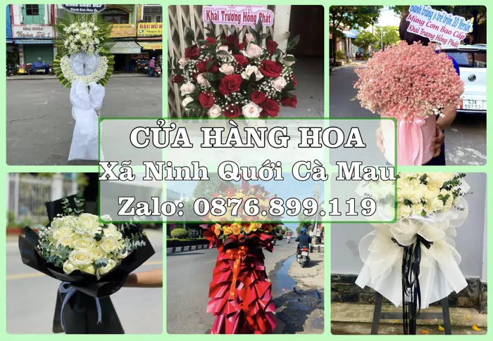 Shop hoa tươi tại Xã Ninh Quới Cà Mau – Tư vấn hoa và trái cây theo ngân sách · ảnh 1