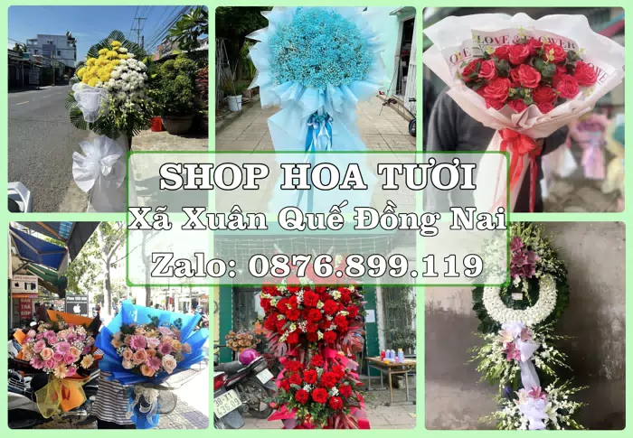 Shop hoa tươi tại Xã Xuân Quế Đồng Nai – Chọn hoa, chọn giỏ quà thật chu đáo · ảnh 1