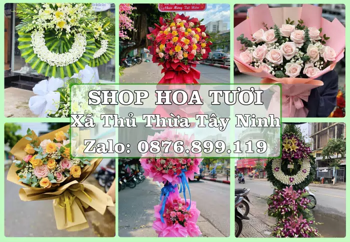 Shop hoa tươi tại Xã Thủ Thừa Tây Ninh – Tìm món quà hợp dịp, hợp người nhận · ảnh 1