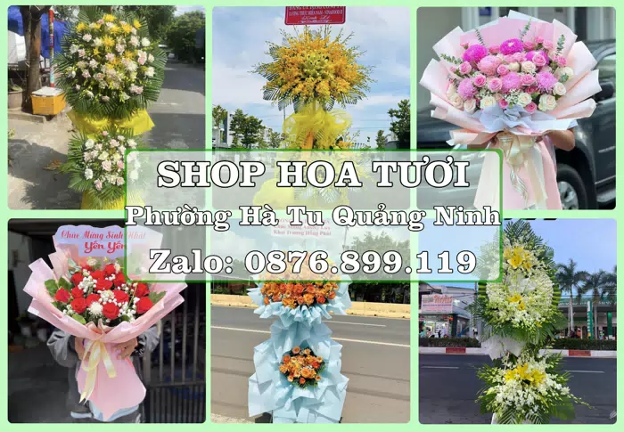 Shop hoa tươi tại Phường Hà Tu Quảng Ninh – Hoa chúc mừng, quà biếu theo nhu cầu · ảnh 1