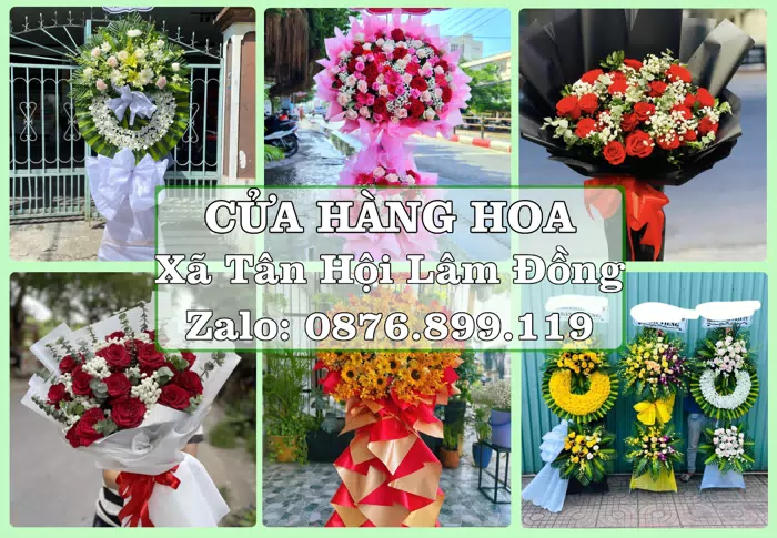 Shop hoa tươi tại Xã Tân Hội Lâm Đồng – Chọn hoa, chọn giỏ quà thật chu đáo · ảnh 1