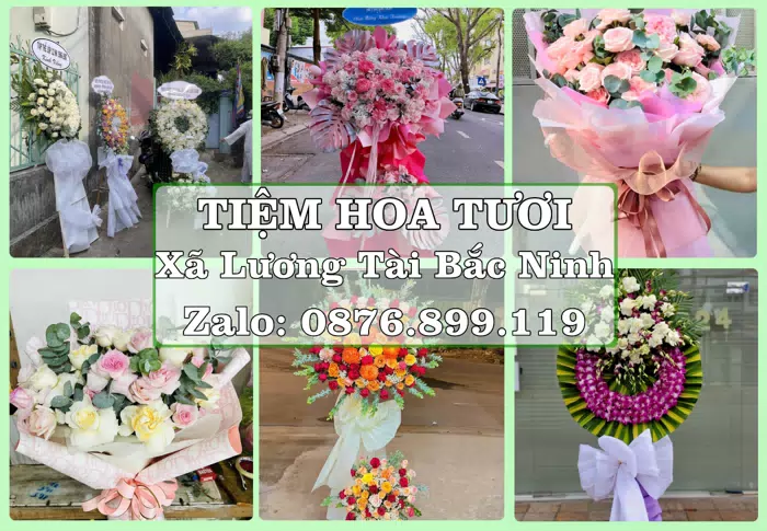 Shop hoa tươi tại Xã Lương Tài Bắc Ninh – Gửi lời quan tâm bằng hoa và trái cây · ảnh 1