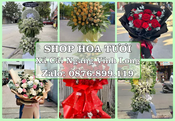 Shop hoa tươi tại Xã Cái Ngang Vĩnh Long – Tư vấn hoa và trái cây theo ngân sách · ảnh 1