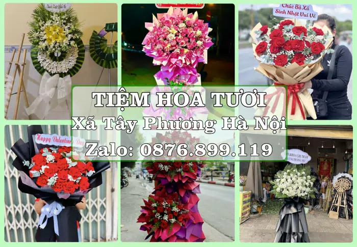 Shop hoa tươi tại Xã Tây Phương Hà Nội – Hoa xinh, trái cây cho những dịp gần gũi · ảnh 1