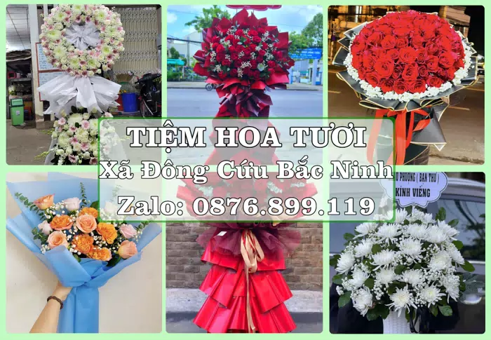 Shop hoa tươi tại Xã Đông Cứu Bắc Ninh – Từ bó hoa tặng đến giỏ trái cây biếu · ảnh 1