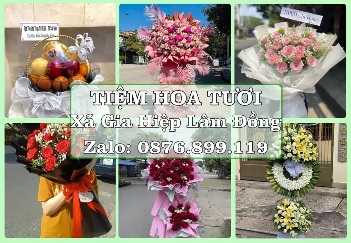 Shop hoa tươi tại Xã Gia Hiệp Lâm Đồng – Tìm món quà hợp dịp, hợp người nhận · ảnh 1