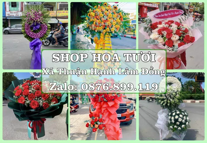 Shop hoa tươi tại Xã Thuận Hạnh Lâm Đồng – Chọn hoa, chọn giỏ quà thật chu đáo · ảnh 1