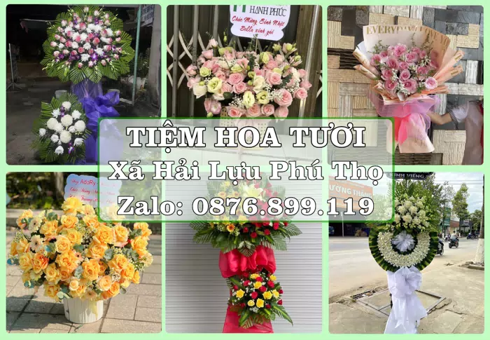 Shop hoa tươi tại Xã Hải Lựu Phú Thọ – Hoa chúc mừng, quà biếu theo nhu cầu · ảnh 1