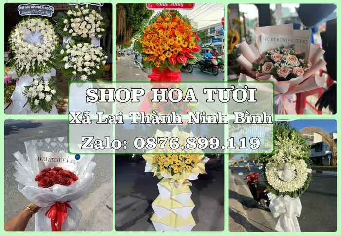 Shop hoa tươi tại Xã Lai Thành Ninh Bình – Hoa xinh, trái cây cho những dịp gần gũi · ảnh 1